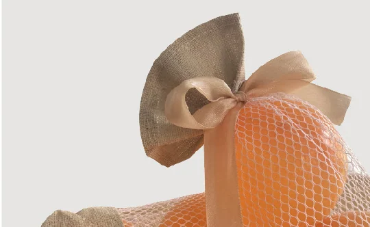 Handled Fruit Mesh Bags