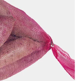 Pumpkin Net Bags