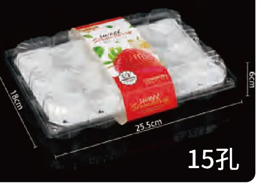 Fruit Cut Sushi Box