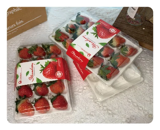 Strawberry Packaging Box