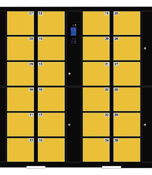 Storage Locker